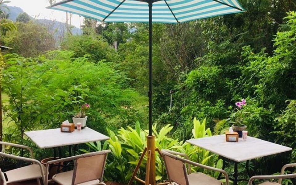 Pure Vegan Heaven Koh Samui