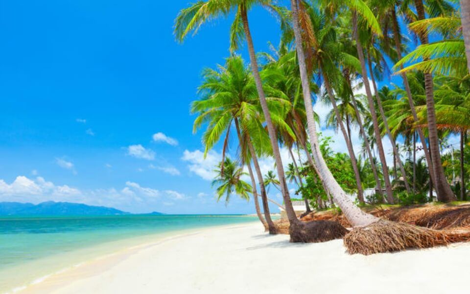 koh samui beach dry season.jpg
